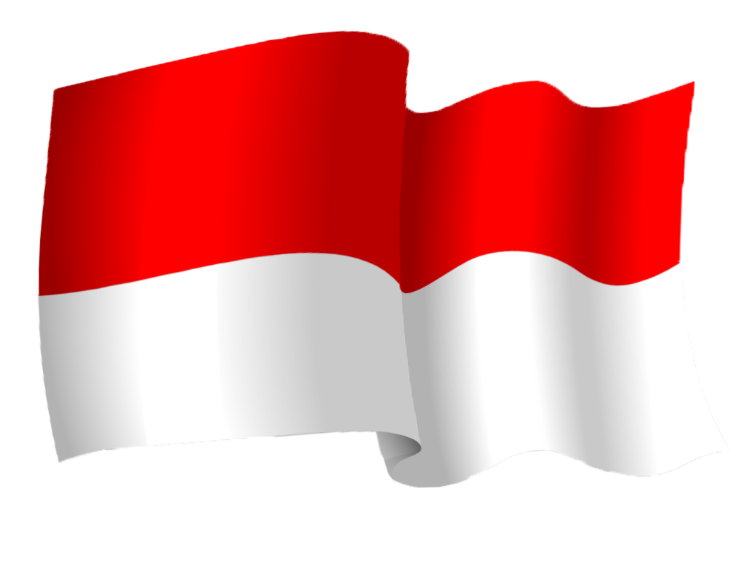 Top Rated IPTV Provider in Indonesia